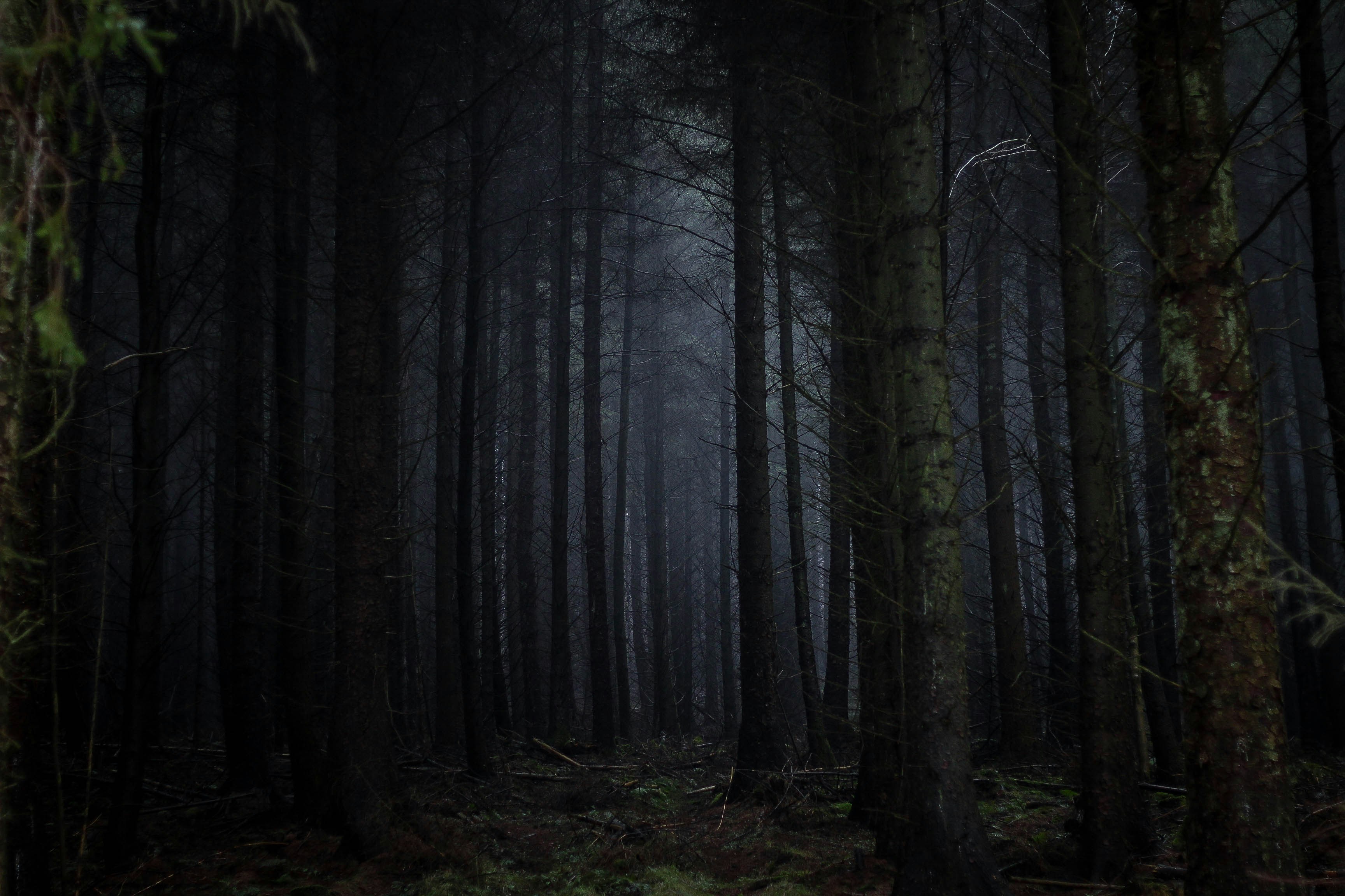 Lorem Ipsum is simply