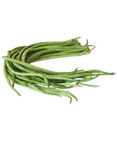 Beans