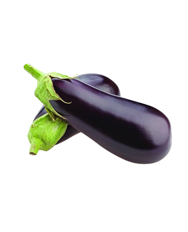 Brinjal