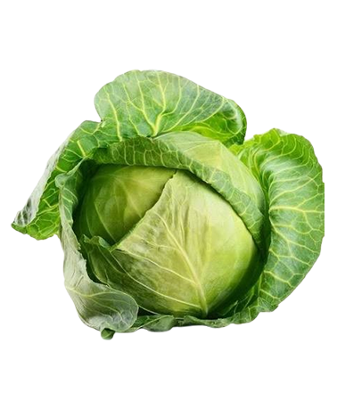 Cabbage