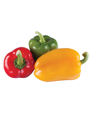 Capsicum