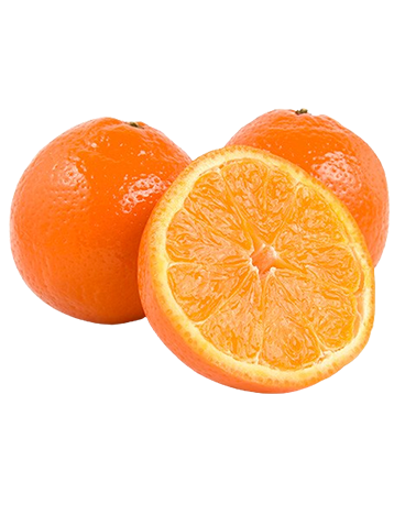 Citrus