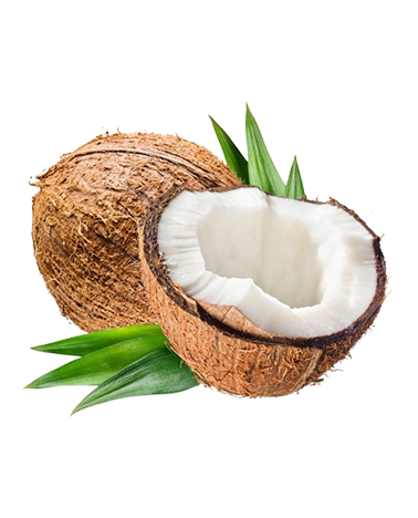 Coconut