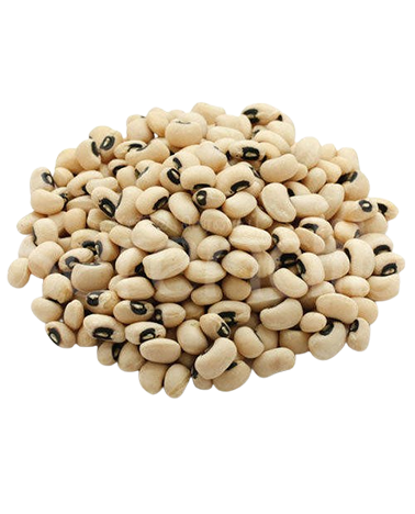 Cowpea