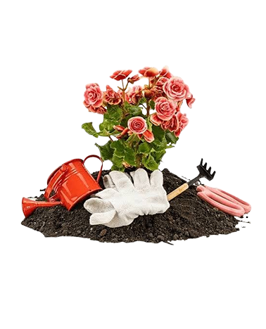 Floriculture