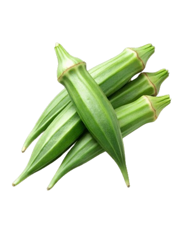 Okra