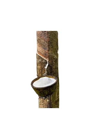 Rubber