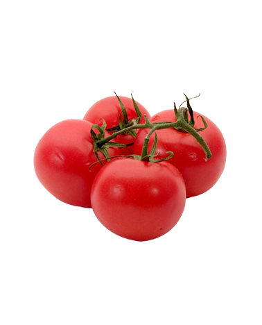 Tomato